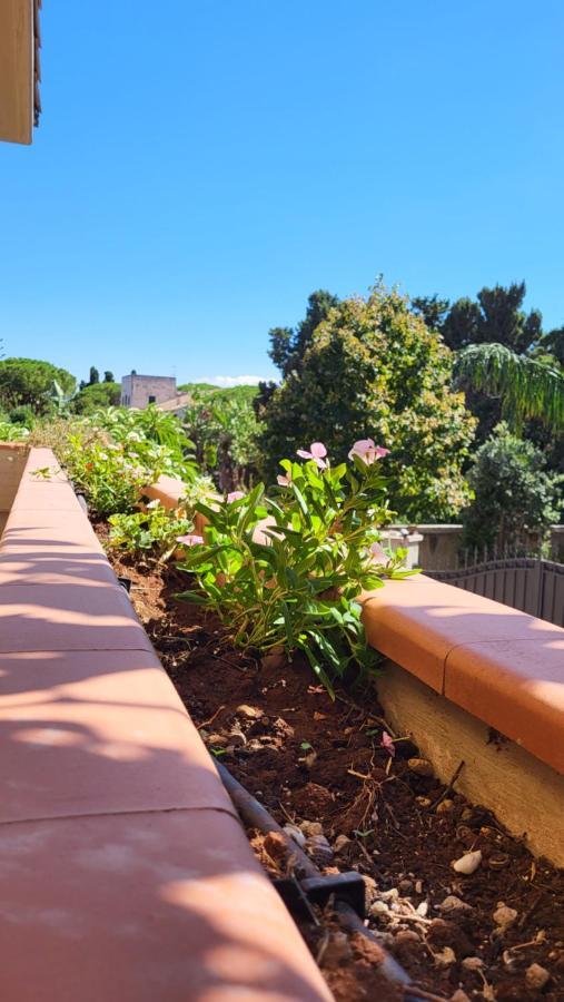 Villa Rosa Παλέρμο Εξωτερικό φωτογραφία